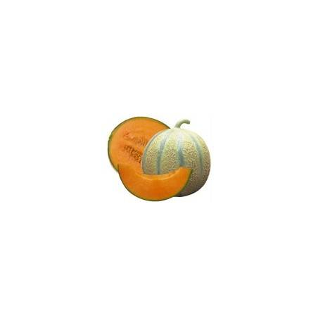 Melon charentais bio (france)- 650/800Divers légumesBIO RENNES