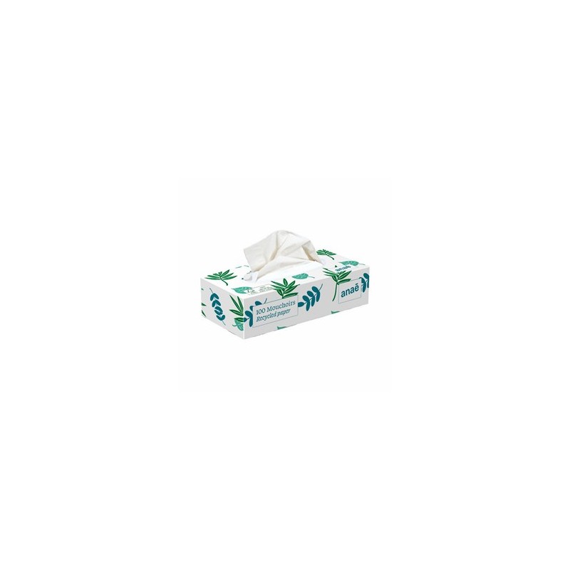 Produits Bio Boite de mouchoirs -100 feuilles Pour la maison Produits Bio Boite de mouchoirs -100 feuilles Pour la maison
