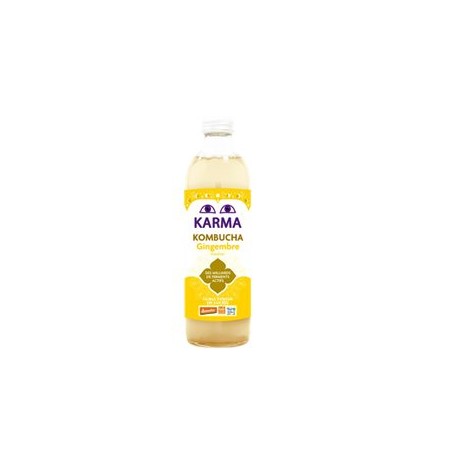 Kombucha mangue passion bio-50 clBoisson -rayon fraisBIODIS FRAIS
