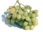 Rayons fruits, légumes, frais, autres-raisin bio blanc (italie) sans pépin- 500 grs-BIO RENNES