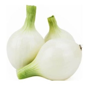 Ail, oignons et échalotes Oignon blanc Bio- 500 grs RONAN LE GALL