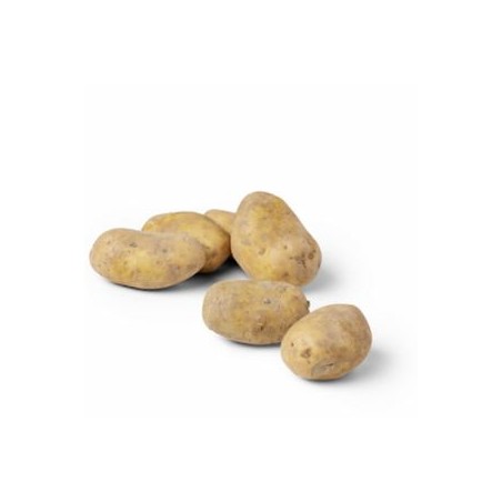 Pomme de terre bio- Maiwen- kgDivers légumes frais bioBIO RENNES