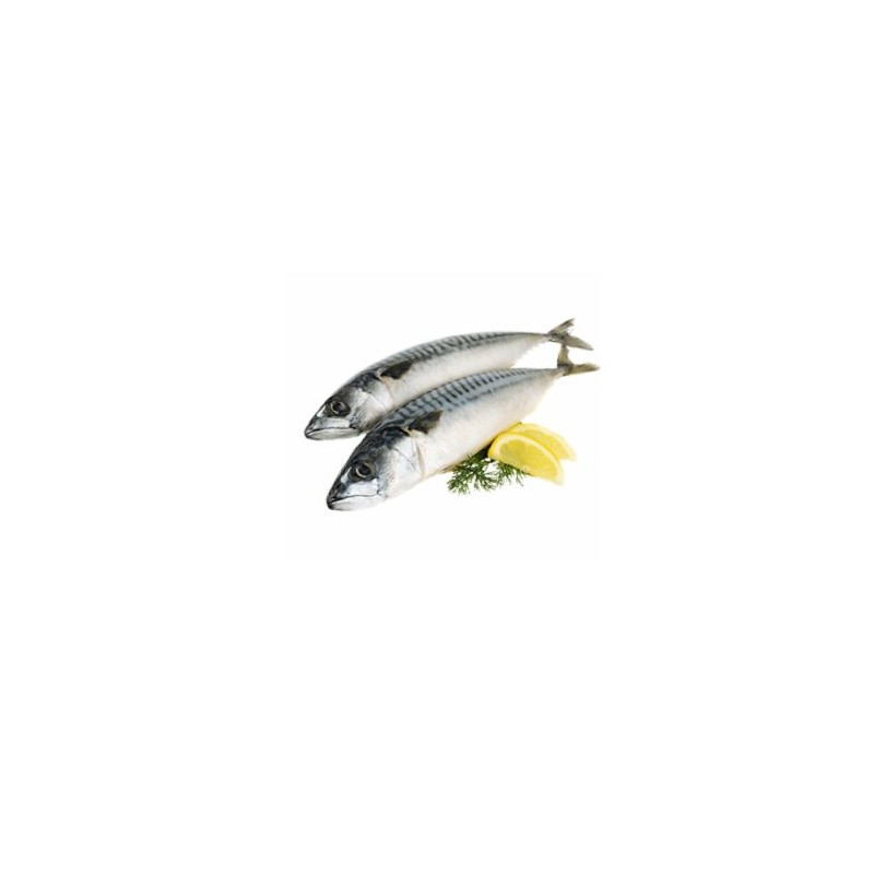 maquereau (vidé étété)- 2 piècesPoissons fraisPOISSONNERIE SOHIER