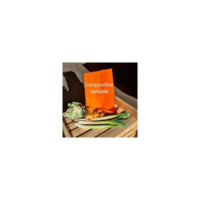 Petit Panier Orange- Légumes bioPaniers de légumesPANIERS - LE PETIT LEGUME - BIO