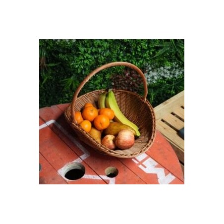 Panier de fruits biologique- 2.5 kg env.Plateaux de fruits BioFRUITS DANS LES PANIERS