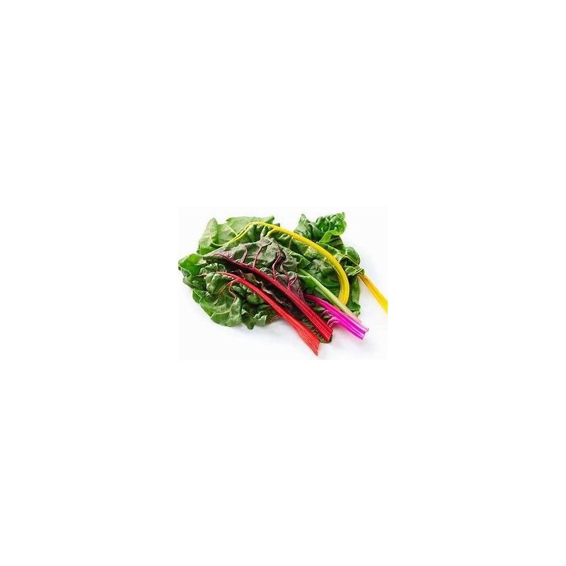 Blette bio couleur- la botteDivers légumes frais bioMarie et Ludovic