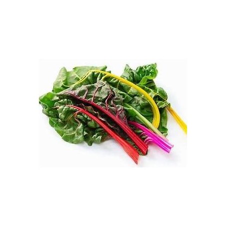Blette bio couleur- la botteDivers légumes frais bioMarie et Ludovic