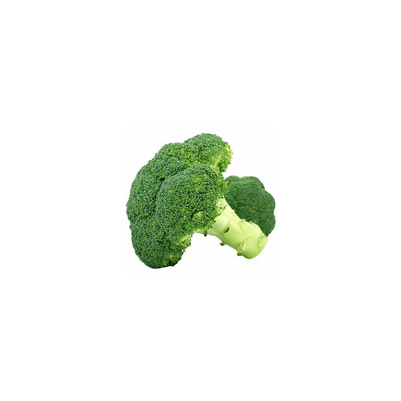 Brocolis bio- le kgDivers légumes frais bioBIO RENNES