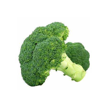 Brocolis bio- le kgDivers légumes frais bioBIO RENNES