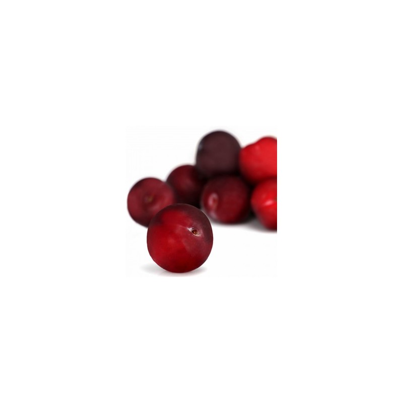 Prune rouge bio- 500 grsLes fruitsBIO RENNES