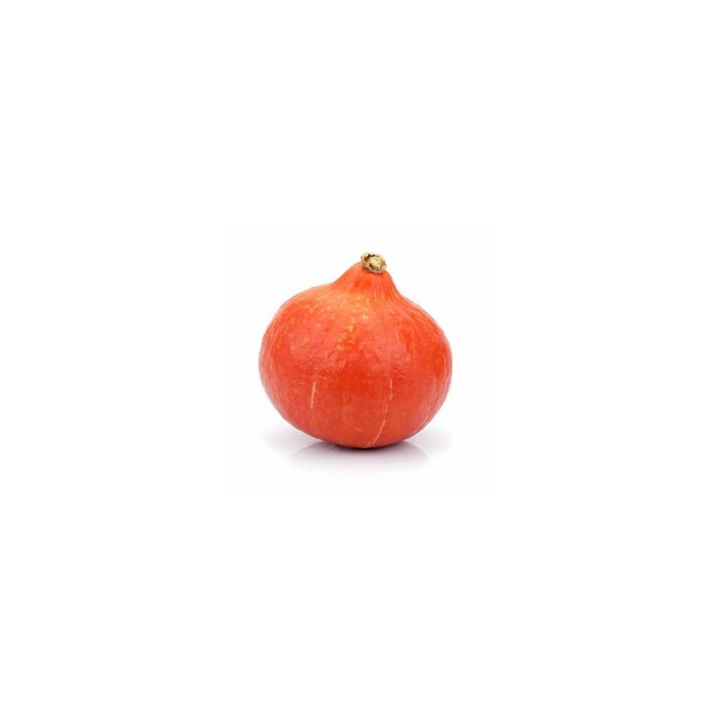 Potimarron BIO 900 grs env. pièceCourges, diverses variétésRONAN LE GALL