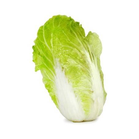 Chou Chinois bio- La pièce 270 grs env.Divers légumes frais bioRONAN LE GALL