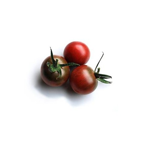 tomate cerise MELANGE bio - 250 grsProduits BioLEGUMES DE VALBO