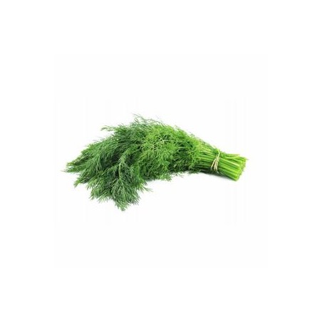 Aneth biologique - Sachet 30 grsSalades et aromatesBIODIS
