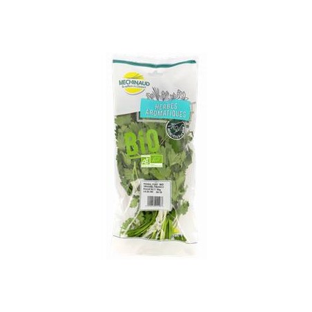 Coriandre biologique - Sachet 30 grsSalades et aromatesBIODIS
