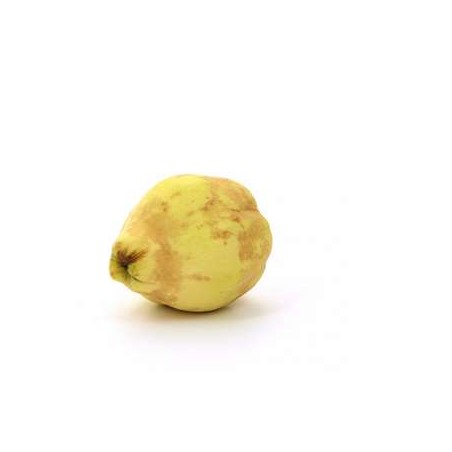 Coing BIO - kgFruits fraisBIO RENNES