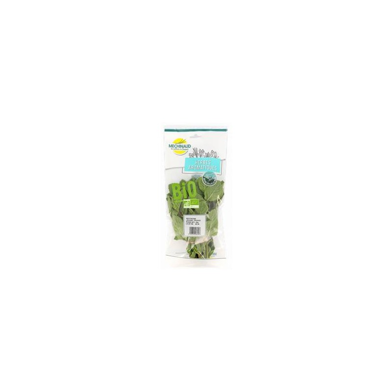 Menthe bio - Sachet 30 grsSalades et aromatesBIODIS