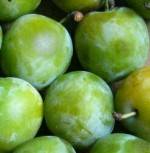 Rhubarbe, abricot, pêche et prune-Prune Reine Claude -500 grs-BIO RENNES
