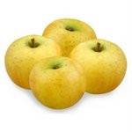 Pommes, poires et kiwis-Pomme Biologique -Chantecler au Kg-VERGERS DE L'ILLE