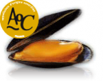 Coquillages et crustacés-Moule AOC Baie du Mont st Michel - 500 g-POISSONNERIE SOHIER