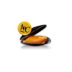 Coquillages et crustacés-Moule AOC Baie du Mont st Michel - 500 g-POISSONNERIE SOHIER Coquillages et crustacés-Moule AOC Baie du Mont st Michel - 500 g-POISSONNERIE SOHIER