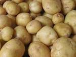 Poireaux, pommes de terre Pommes de terre Charlotte bio au Kg LEGUMES DE VALBO
