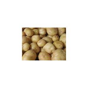 Poireaux, pommes de terre Pommes de terre Charlotte bio au Kg LEGUMES DE VALBO