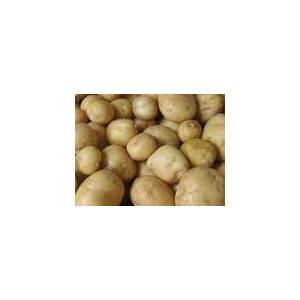 Poireaux, pommes de terre Pommes de terre Charlotte bio au Kg LEGUMES DE VALBO Poireaux, pommes de terre Pommes de terre Charlotte bio au Kg LEGUMES DE VALBO