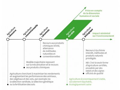 agriculture biologique durable