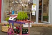 Fleur Arum & Lys à Pacé