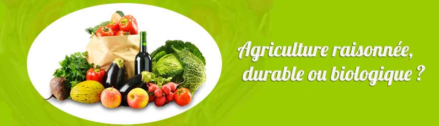 Agriculture biologique, durable, Amap